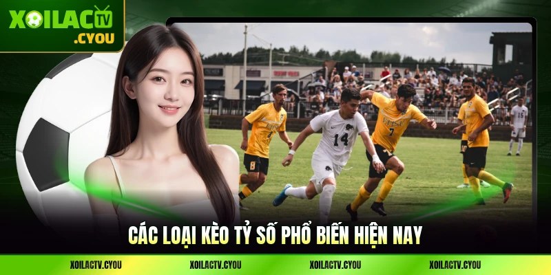 Các loại kèo tỷ số phổ biến hiện nay mà sảnh có tỷ lệ rất cao để chơi