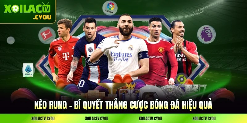 Kèo Rung - Bí Quyết Thắng Cược Bóng Đá Hiệu Quả
